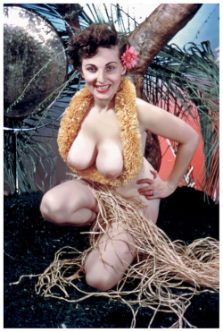 Vintage Donna Brown Model Nude