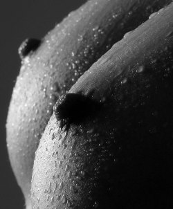 Close Up Tits Tumblr