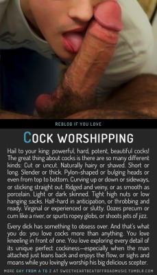 Gay Cocksucker Worship