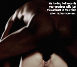 Wife Training White Bull Tumblr Wife Training White Bull Tumblr