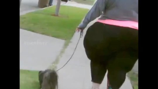 Bbw Porn Big Ass Dog - Porn Core Thumbnails : XXXXXL White MegaPear BBW Walking the dog!!I wanna  get my hands/ face on/ in that MAMMOTH @$$ sooooooo bad! That thing would  engulf anything that goes in/ up